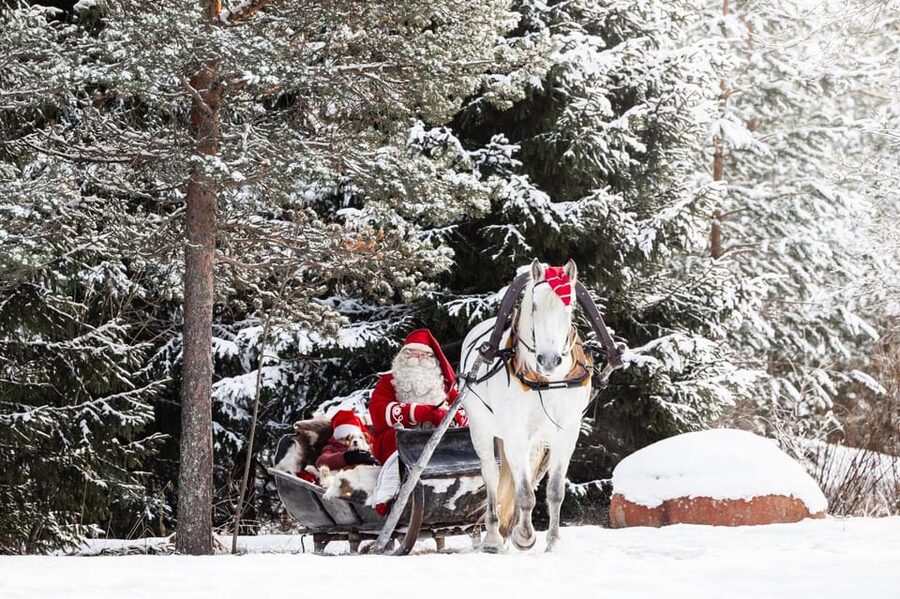 Rovaniemi: Traditional Finnhorse Sleigh Ride at SCV (3km) - Key things to know before you go
