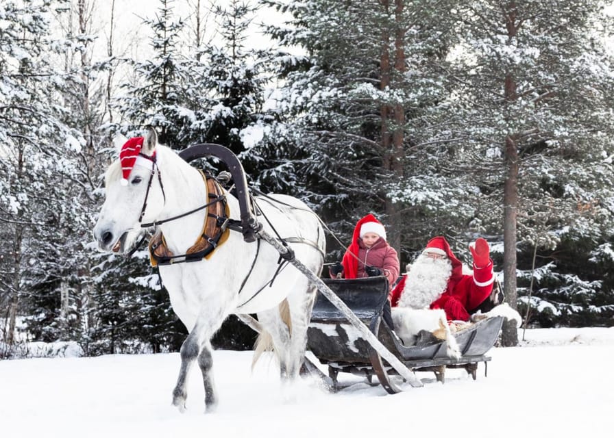Rovaniemi: Traditional Finnhorse Sleigh Ride at SCV (3km) - Finnhorse sleigh ride in Rovaniemi, why 3 km feels like more
