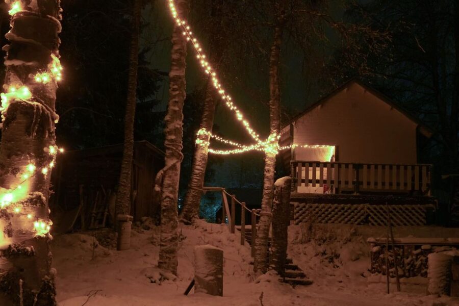 Rovaniemi: Traditional Sauna and Ice Swimming Experience - The Sauna Stove Routine: How the Steam Works and What You Control