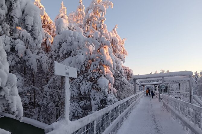 Rovaniemi: Trip to Ranua Zoo with Tickets Included - Price and logistics: is $120.15 actually fair?