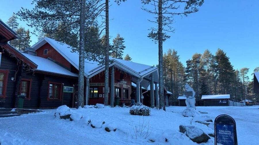 Rovaniemi: trip to the Ranua Zoo (transportation, tickets) - Price and value: why $117 can make sense here