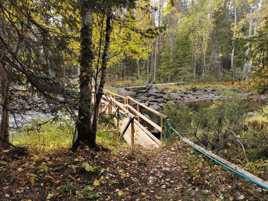 Rovaniemi: Vaattunki Hiking Arctic Circle Trail - Crossing the Arctic Circle, then walking Lapland’s forests and marsh edges
