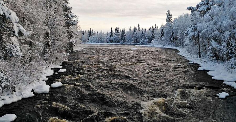 Rovaniemi: Vaattunki Hiking Arctic Circle Trail - Bonfire pause with sausages, warm drinks, and local stories