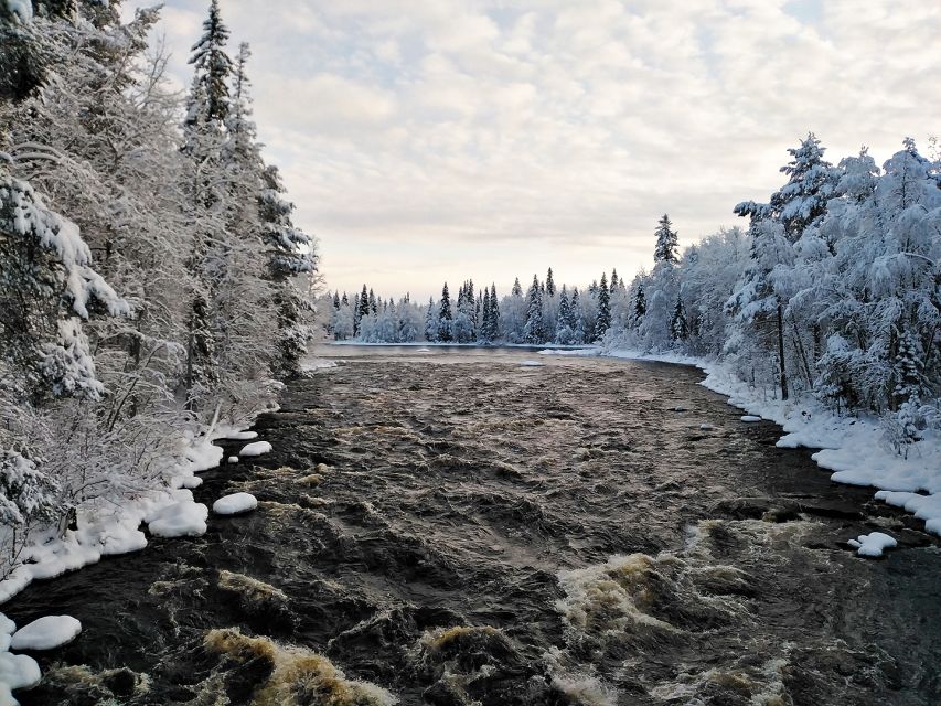 Rovaniemi: Vaattunki Hiking Arctic Circle Trail - What to bring for comfort, and what to avoid
