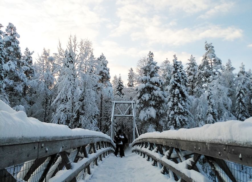 Rovaniemi: Vaattunki Hiking Arctic Circle Trail - Getting picked up around Rovaniemi, then going straight to the trail