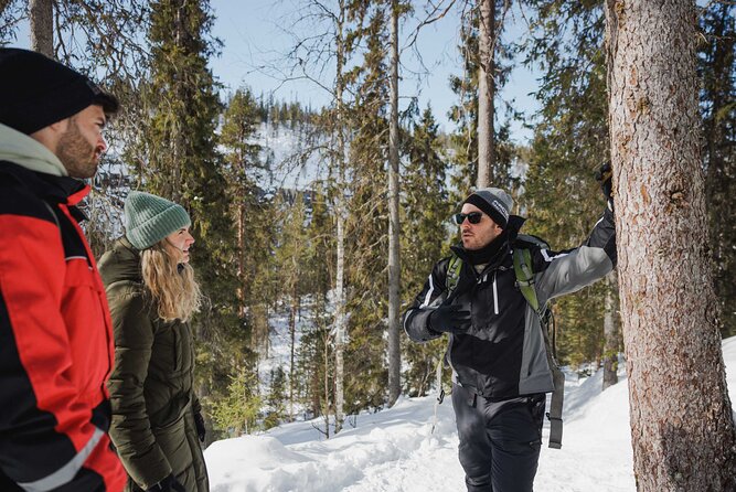 Rovaniemi - Visit to The Frozen Waterfalls of Korouoma - Price and Value: When a Small-Group Hike Feels Like a Fair Deal