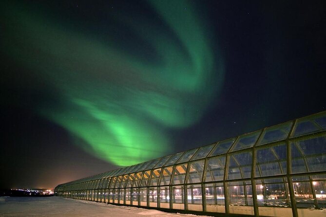 Rovaniemi walking tour and guided Arktikum experience - Key things that make this Rovaniemi + Arktikum tour work