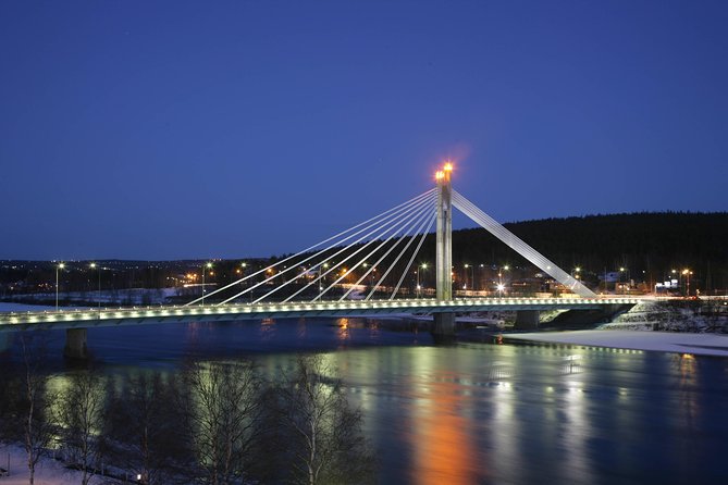 Rovaniemi walking tour and guided Arktikum experience - Arktikum: guided Arctic exhibits in a focused 1-hour visit