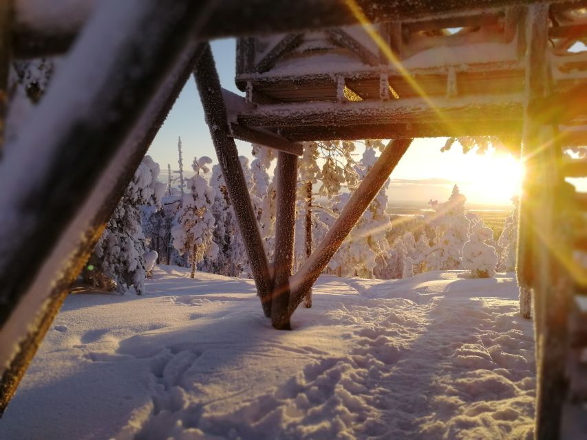 Rovaniemi: Wilderness Tour - Who This Tour Fits Best (and Who Should Skip It)