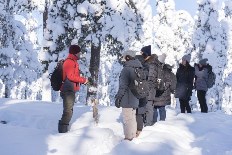 Rovaniemi: Wilderness Tour - The Match-Free Fire Lesson, and How Not to Harm the Forest