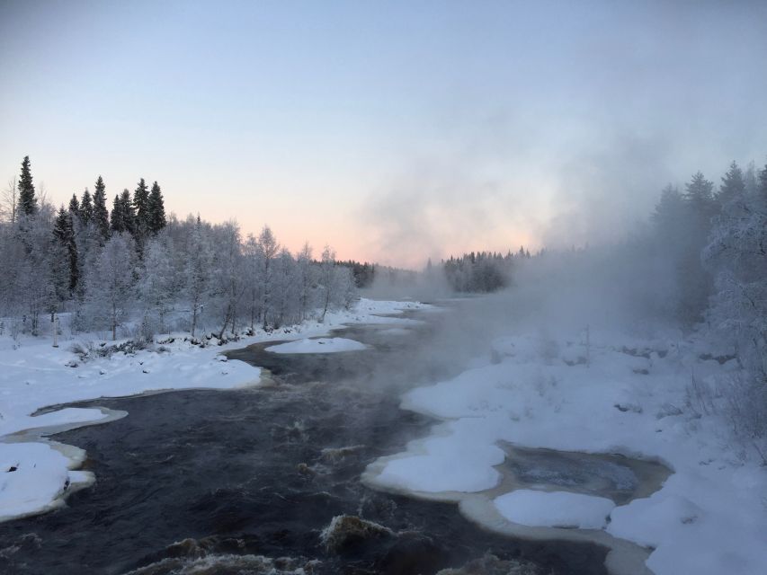 Rovaniemi: Wilderness Tour - What Happens Between the Walks: Viewing Points and Campfire Snacks