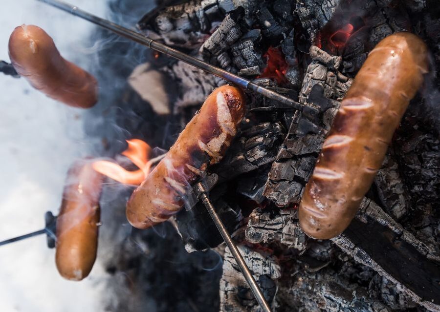 Rovaniemi: Wilderness Tour - Winter vs Summer: Two Tours, Same Forest Wisdom