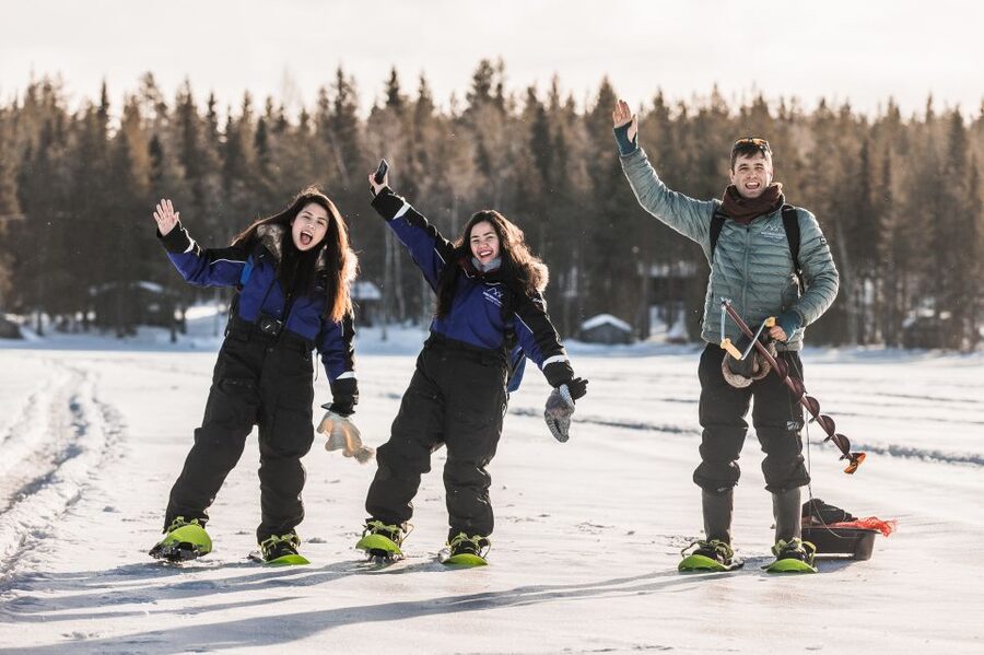 Rovaniemi: Winter Wilderness Snowshoeing Trip - Price and value: what $104 for 3 hours actually covers