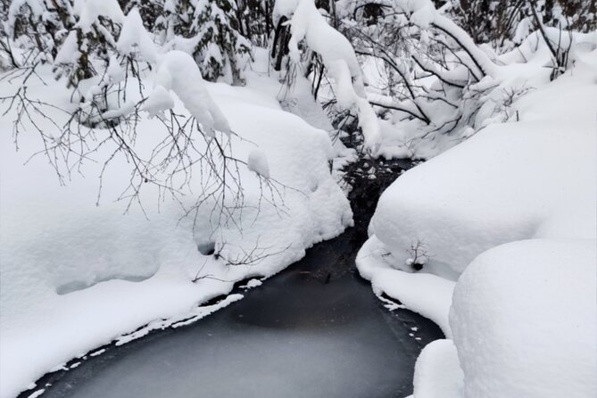 Rovaniemi: Winter Wonderland Vikaköngäs Hiking Tour & BBQ - Quick Hits: What Makes the Vikaköngäs Hike Worth Your Time
