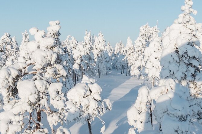 Rovaniemi: Winter Wonderland Vikaköngäs Hiking Tour & BBQ - From Pickup to Pullover Weather: How the Tour Works in Real Life