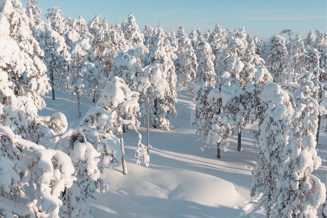 Rovaniemi: Winter Wonderland Vikaköngäs Hiking Tour & BBQ - The BBQ Payoff: Warm Food in Snow, Not a Restaurant Afterthought
