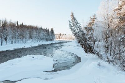 Winter Wonderland Vikaköngäs Hiking Tour & BBQ