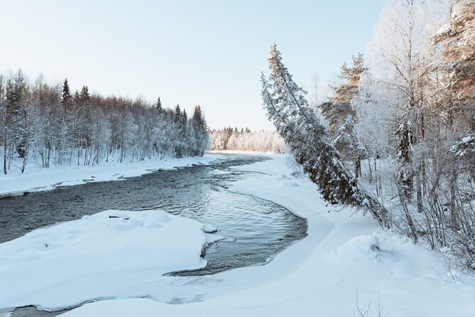 Rovaniemi: Winter Wonderland Vikaköngäs Hiking Tour & BBQ - The Main Event at Vikaköngäs: Frozen Sights, Guided Trail Walking, and Viewpoints