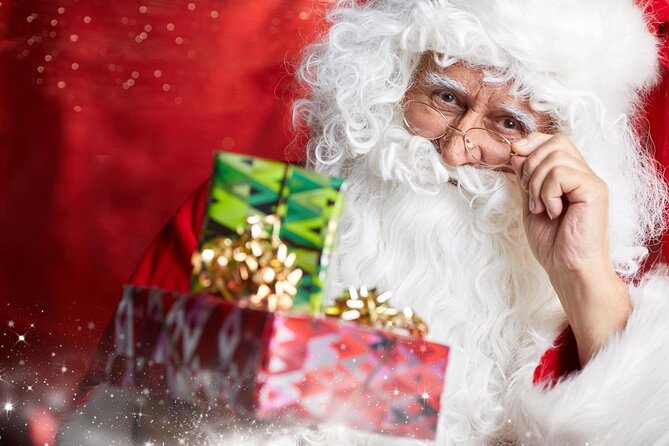 Santa Claus Village Guided Tour & Arctic Animals Adventure - Key highlights worth noting