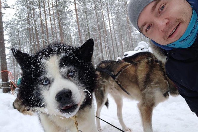 Santa Claus Village Guided Tour & Arctic Animals Adventure - Pickup timing, mobile tickets, and the one thing you must plan yourself