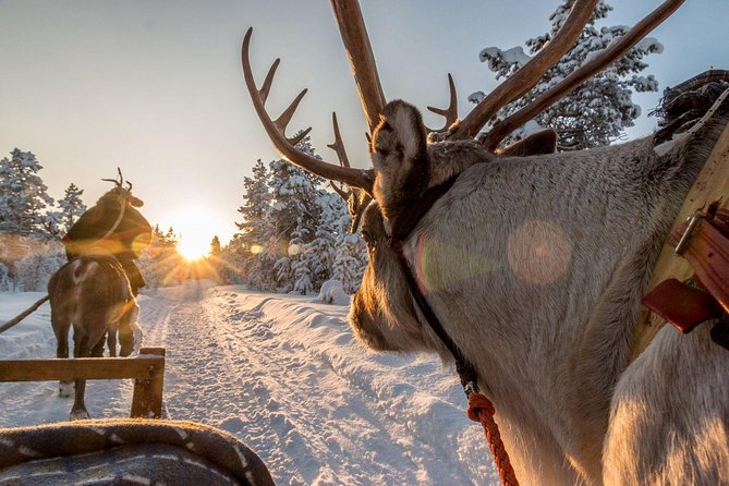 Santa Claus Village Guided Tour & Arctic Animals Adventure - Stop 1 at Santa Claus Village: where the day gets magical and organized