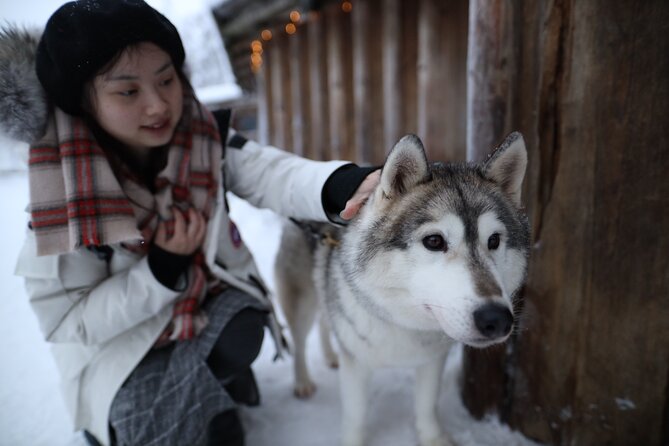 Santa Claus Village, Husky and Reindeers Combo Safari - Practical Stuff That Makes or Breaks the Experience
