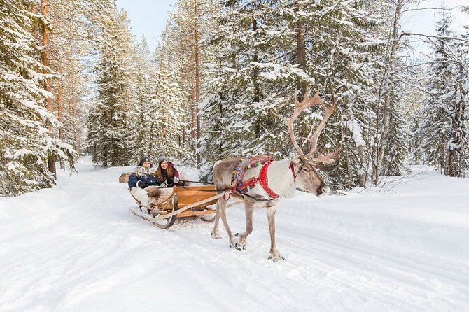 Santa's Reindeer & Husky Safari + Aurora BBQ in Rovaniemi - Value Check on the Price of $289.04 (What You Actually Pay For)