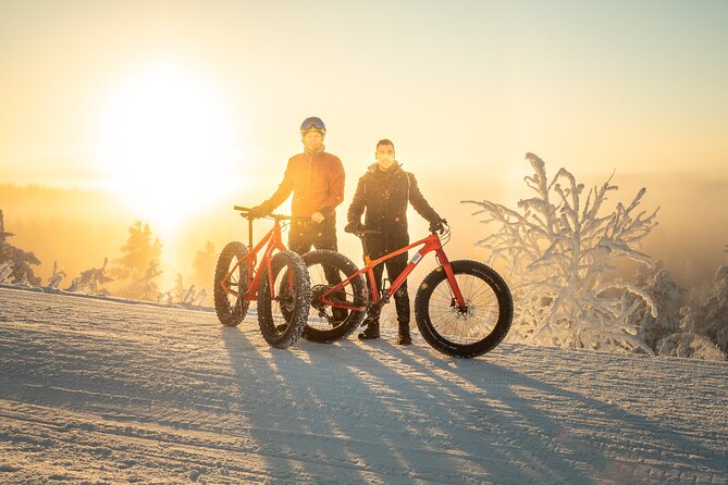 Scenic electric fat bike group ride in Rovaniemi - Key points before you go