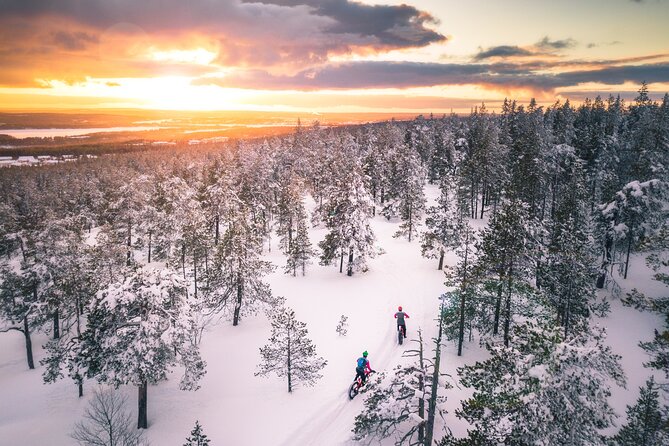 Scenic electric fat bike group ride in Rovaniemi - Ounasvaara Winter Trail: real riding, not just flat cruising