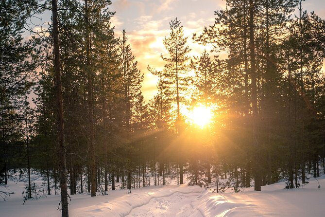 Scenic electric fat bike group ride in Rovaniemi - Pace and effort: how hard is it really?