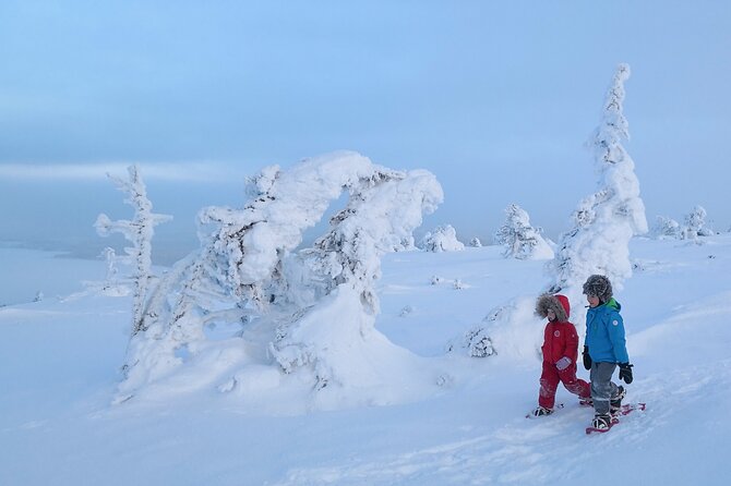Scenic Snowshoeing on the Top of Pyhä Fell - The forest descent: where the day turns playful