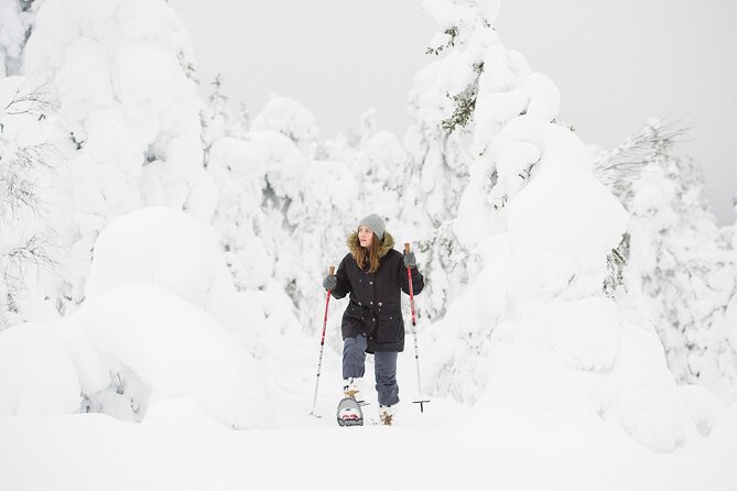 Scenic Snowshoeing on the Top of Pyhä Fell - Stories of Arctic nature and old Lappish beliefs