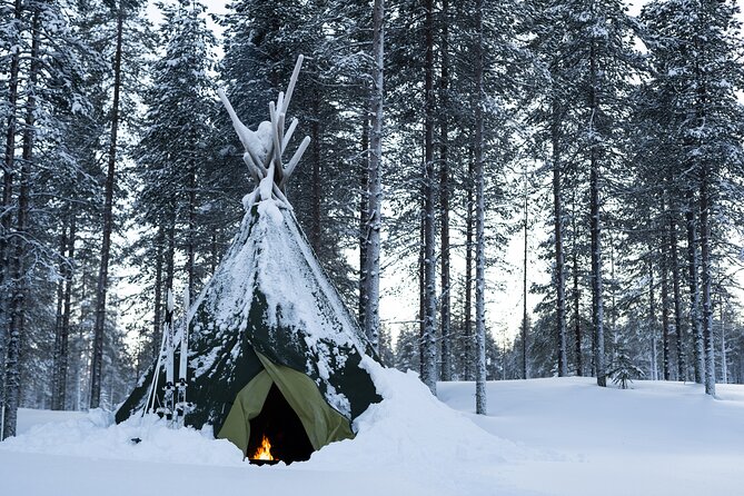 Ski Trek to the Wilderness - Extra Small group - Price and Value: Why $119.21 Can Make Sense Here