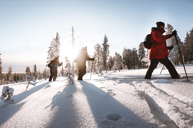 Ski Trekking Safari in Lapland - Backcountry skiing in the Taiga forest, not the groomed trails