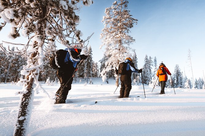 Ski Trekking Safari in Lapland - The on-snow session: 1 to 1.5 hours of guided first tracks