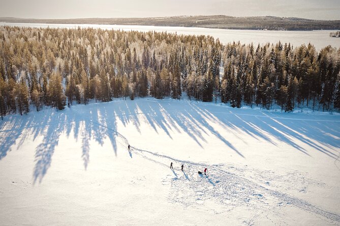 Ski Trekking Safari in Lapland - Campfire warmth: Finnish barbeque, hot drinks, and a real break