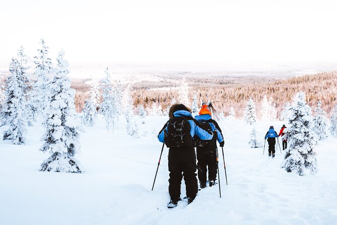 Ski Trekking Safari in Lapland - Price and value at about $131.32 per person
