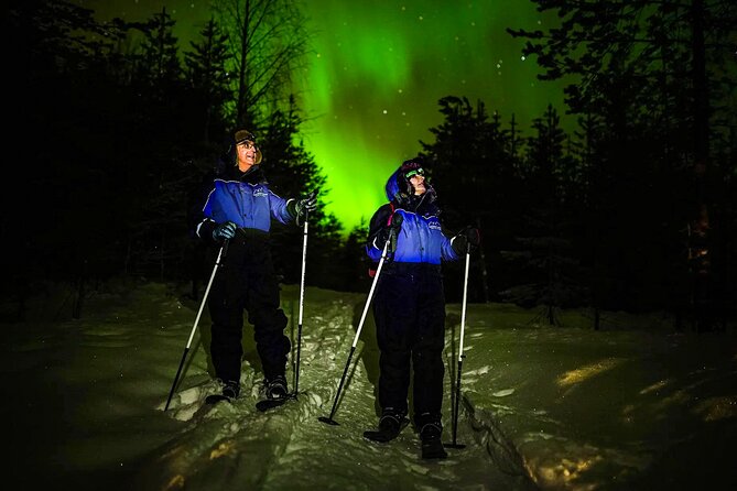Ski Trekking under the Northern Lights - Why Backcountry Skiing Makes the Aurora Hunt Feel Real