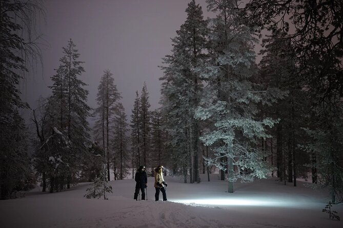 Ski Trekking under the Northern Lights - Who This Ski Trek Is Best For
