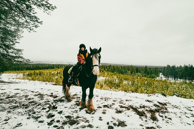 Small-Group Arctic Circle Horse Riding from Rovaniemi - Where you start in Rovaniemi, and why the pickup timing matters