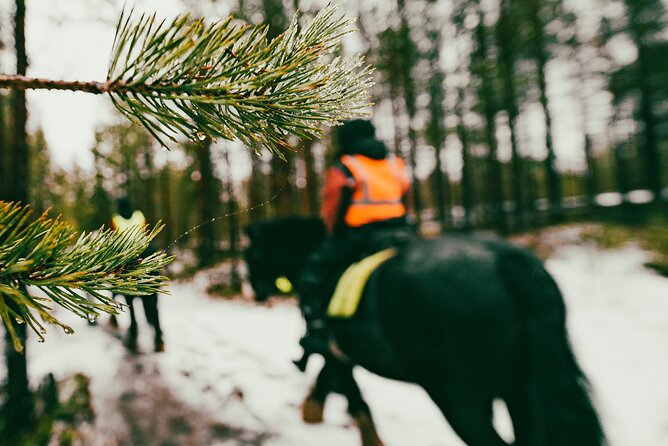 Small-Group Arctic Circle Horse Riding from Rovaniemi - The ride itself through Lapland forest paths