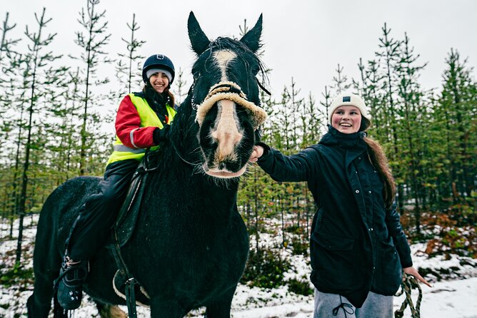 Small-Group Arctic Circle Horse Riding from Rovaniemi - What you do at the farm beyond the saddle