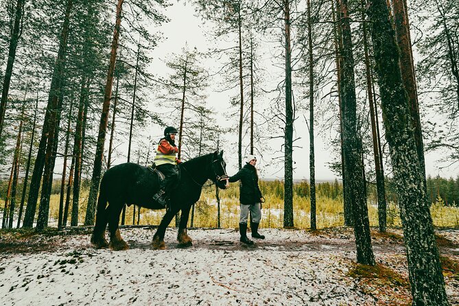 Small-Group Arctic Circle Horse Riding from Rovaniemi - Small group dynamics, maximum 6 riders, and what it means for your comfort