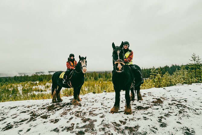 Small-Group Arctic Circle Horse Riding from Rovaniemi - Rider rules and who should consider the limits first