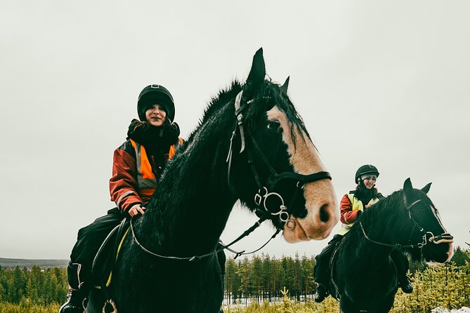 Small-Group Arctic Circle Horse Riding from Rovaniemi - The kind of rider this suits best