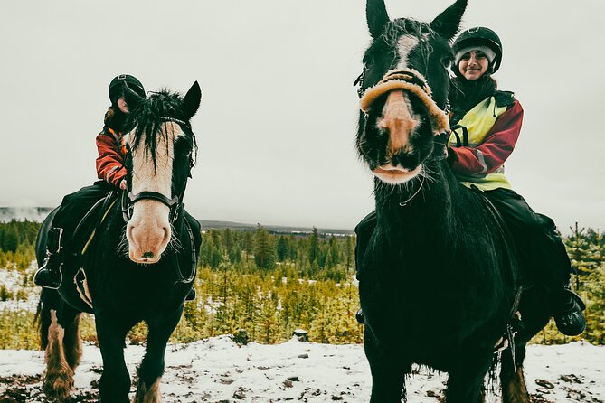 Small-Group Arctic Circle Horse Riding from Rovaniemi - Meet the Irish Cob horses, and what shoeless riding really tells you