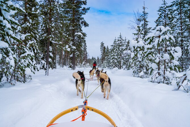 Small-Group Husky Mushing Experience in Rovaniemi - Key things I’d circle in the details