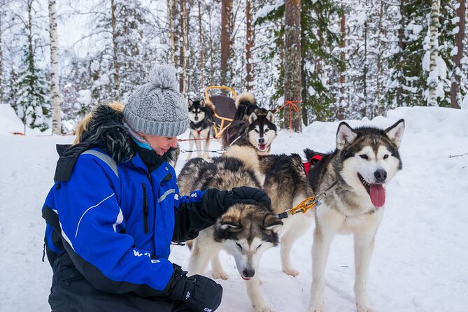 Small-Group Husky Mushing Experience in Rovaniemi - How pickup and timing shape your day