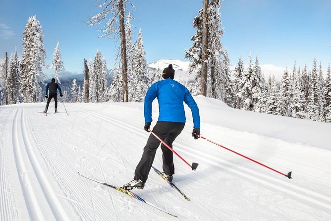 Small-Group Lapland Cross Country Ski - Cross-Country Skiing in Rovaniemi’s Snow Tracks, Not a Sit-Back Tour
