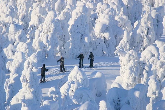 Small-Group Lapland Cross Country Ski - Meeting Point and Timing: The One Detail You Must Verify